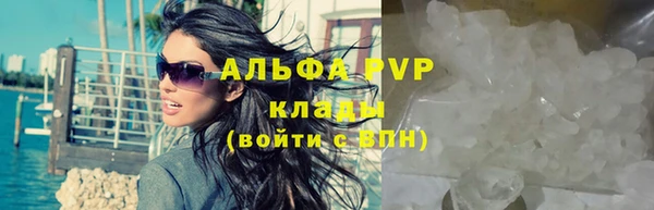 тгк Вяземский