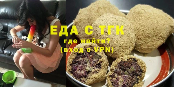 индика Волосово
