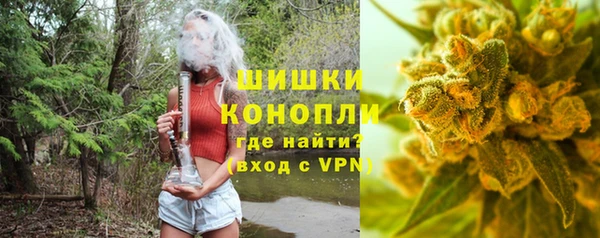 тгк Вяземский