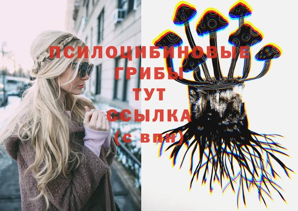 ешки Краснослободск