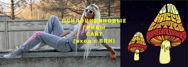 тгк Вяземский