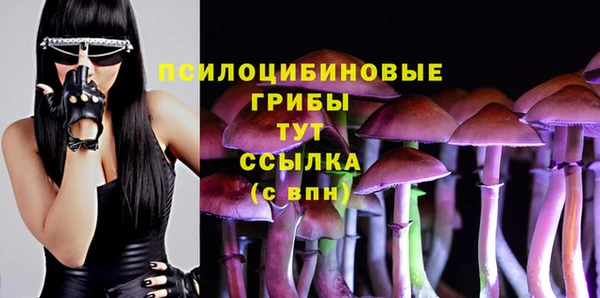 тгк Вяземский